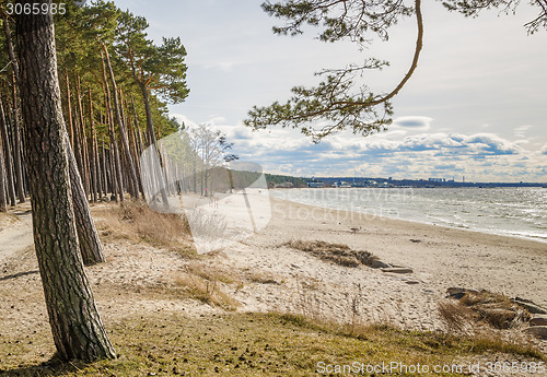 Image of Coast of Baltic sea, a sunny day