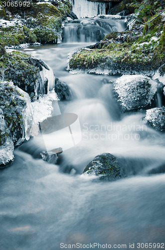 Image of The flow of water in the spring of icicles and ice