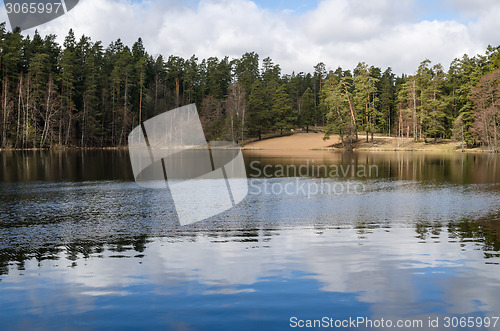 Image of Spring landscape at wood lake