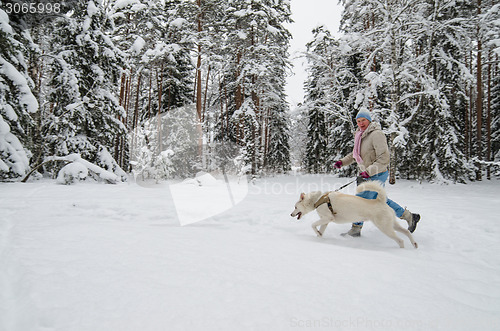 Image of The woman with a dog on walk in a winter wood