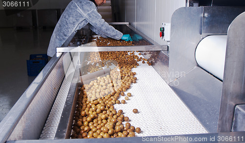 Image of olives in a processing machine