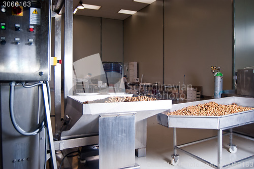 Image of olives in a processing machine