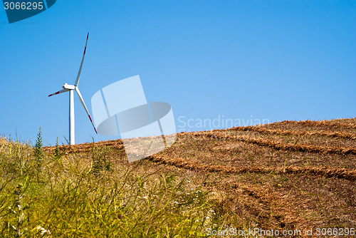 Image of Wheatfield with windmills