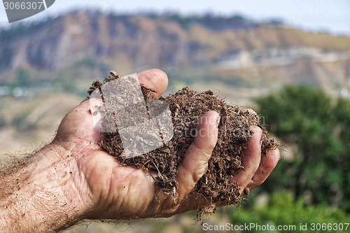 Image of Hand holding a piece of land