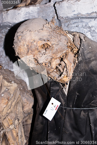 Image of Catacombs of the Capuchins