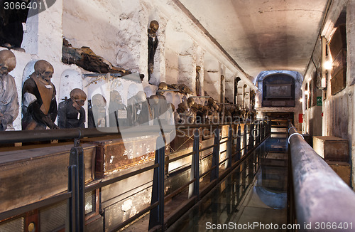 Image of Catacombs of the Capuchins. Palermo