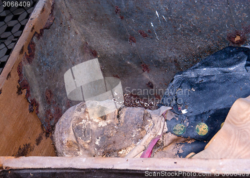 Image of Catacombs of the Capuchins