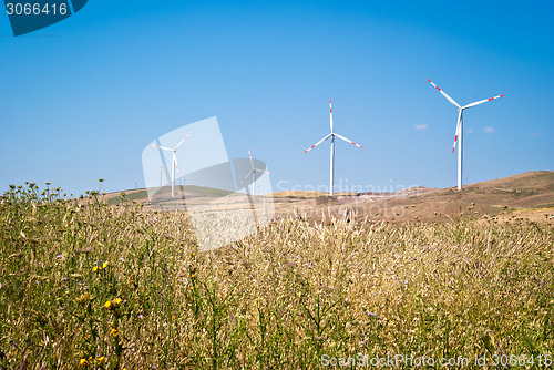 Image of Wheatfield with windmills