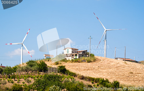 Image of Wheatfield with windmills