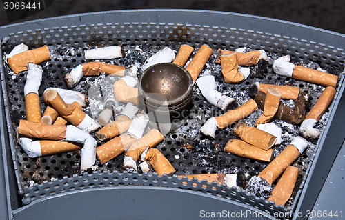 Image of many dirty cigarettes butts