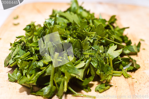 Image of fresh green parsley