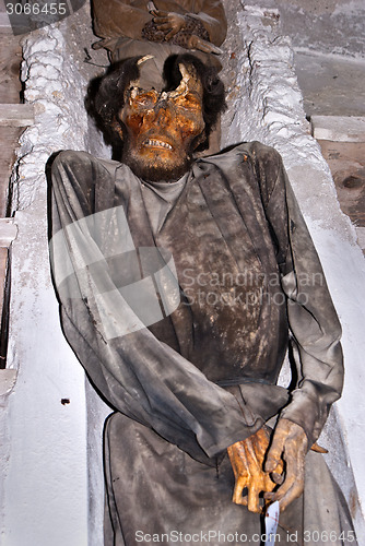 Image of Catacombs of the Capuchins