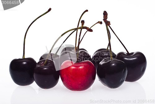 Image of cherries isolated. be different