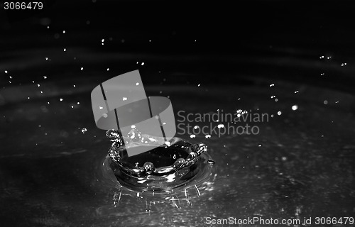 Image of water splash on black background