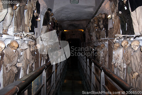 Image of Catacombs of the Capuchins. Palermo