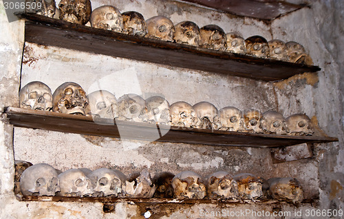 Image of Catacombs of the Capuchins. Palermo