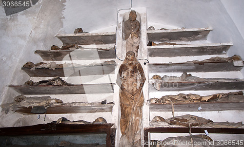 Image of Catacombs of the Capuchins. Palermo