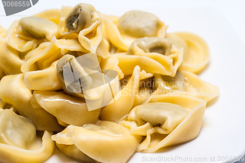 Image of Italian ravioli  pasta on white plate