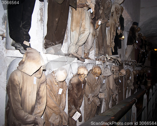 Image of Catacombs of the Capuchins. Palermo