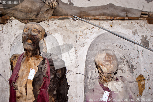 Image of Catacombs of the Capuchins. Palermo