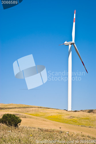 Image of Wheatfield with windmills