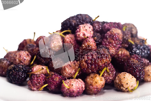 Image of Fresh Mulberry 