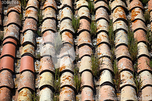 Image of moss growing on old roof tiles