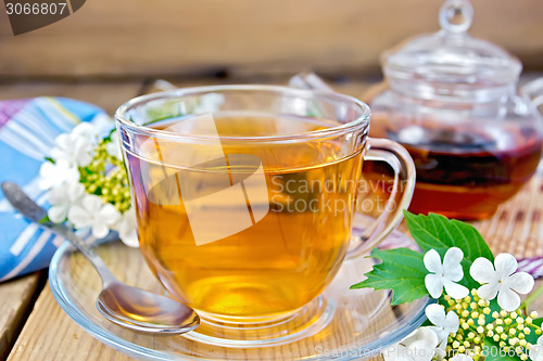 Image of Tea from flowers of viburnum on wooden board with napkin