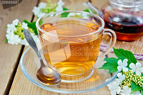 Image of Tea from flowers of viburnum on wooden board