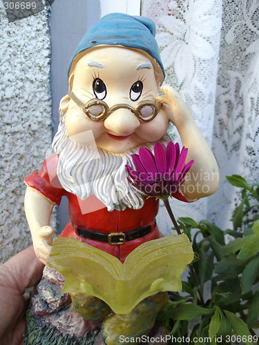 Image of dwarf-manikin