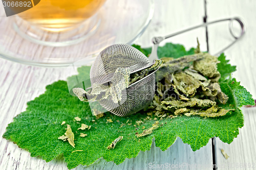 Image of Sage dried in strainer on fresh leaf