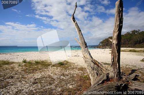 Image of Greenfields Beach Jervis Bay Australia