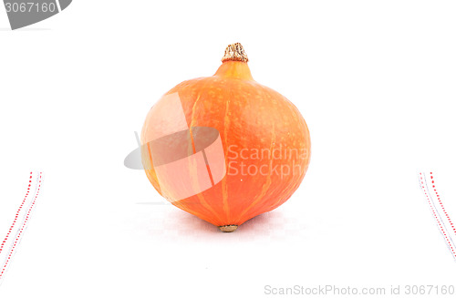 Image of Single Pumpkin 