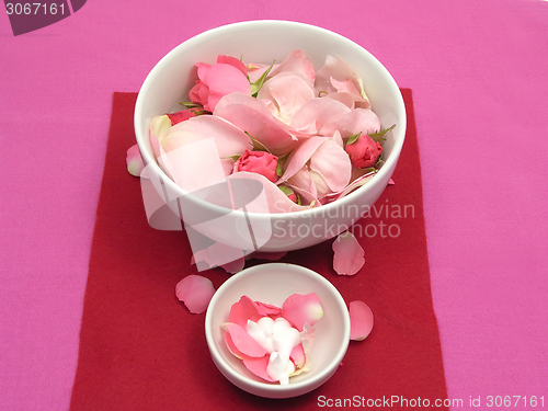 Image of Pink roses and cream in  white bowls of chinaware on red background