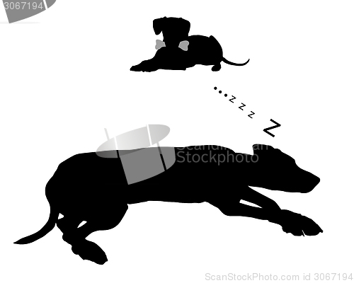 Image of Dog dreams of feeding