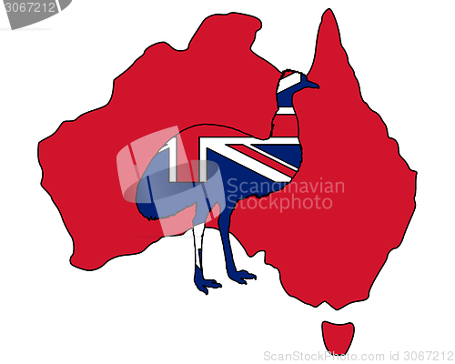 Image of Australian Emu