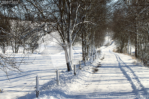 Image of Snowy path in winter 