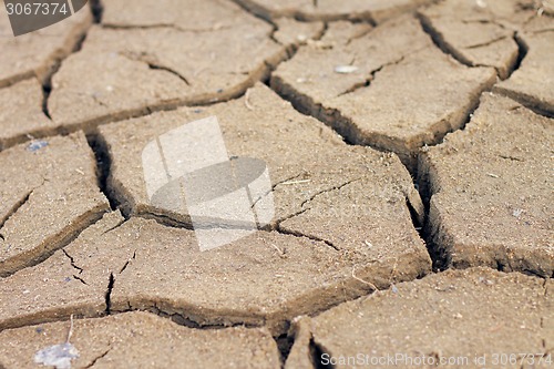 Image of Closeup of dry soil