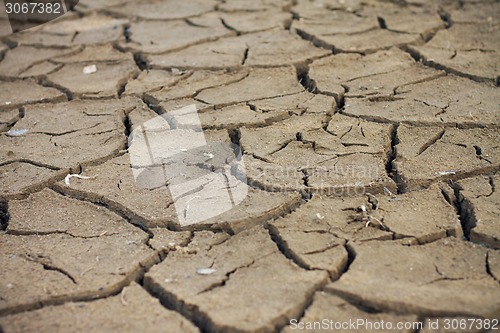 Image of Dry land. Cracked ground background. 