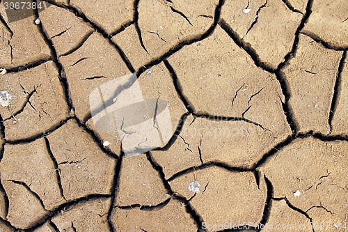Image of Dry soil cracking