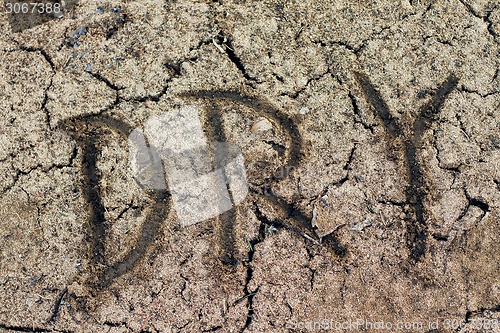 Image of The word dry. Closeup of dry soil