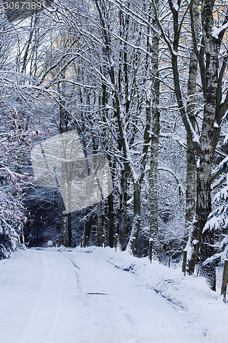 Image of Cold and snowy winter road