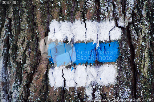 Image of Tourist sign on the tree for a tourist trip