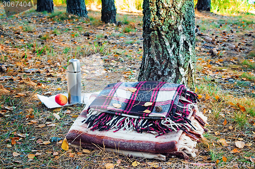 Image of Two plaid relaxing in the woods for two and Breakfast.