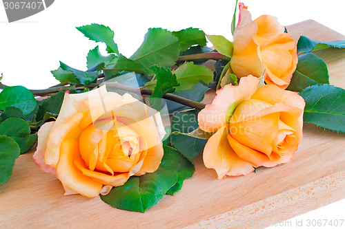 Image of A beautiful bouquet of yellow roses on a white background.