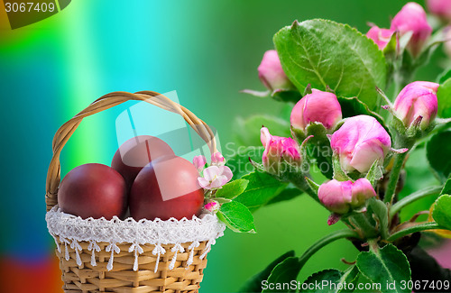 Image of Red Easter eggs in a basket and flowers of Apple trees.