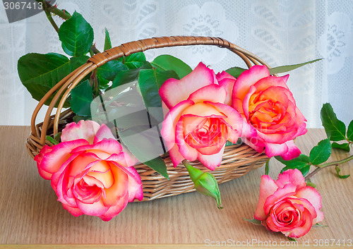 Image of Beautiful large roses with leaves in a wicker basket on the tabl