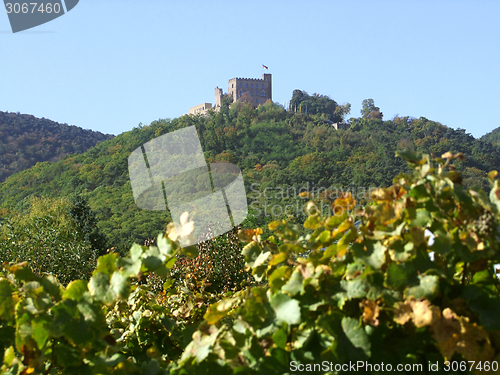 Image of Hambach Castle