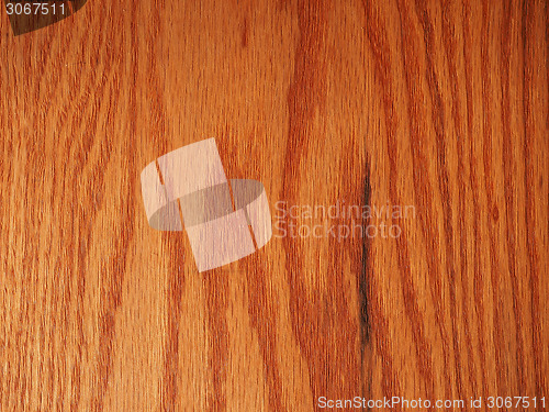 Image of Red oak wood background