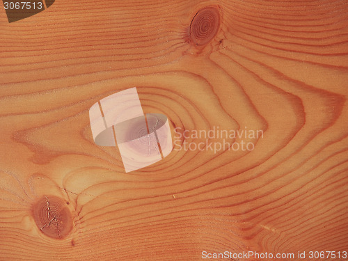 Image of Larch wood background